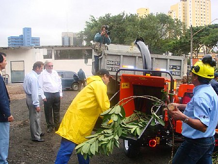 SantoAmaroComandaProjetoPilotoDePodasDeArvores150408