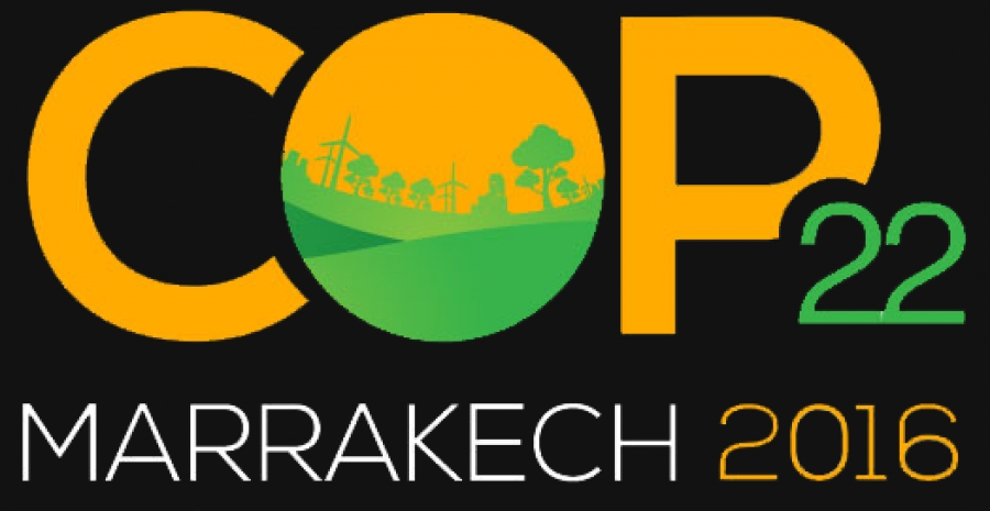 COP22