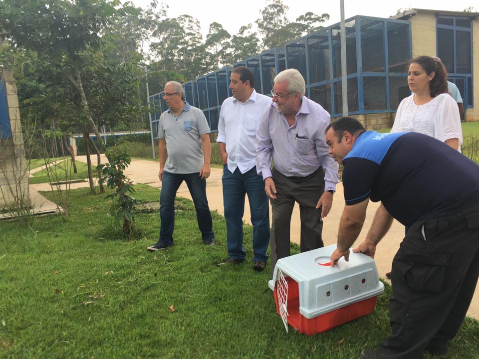 16105614_247232995689256_8177862552733925017_n