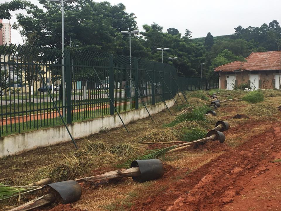 17425025_632780560243461_5009333080160961274_n