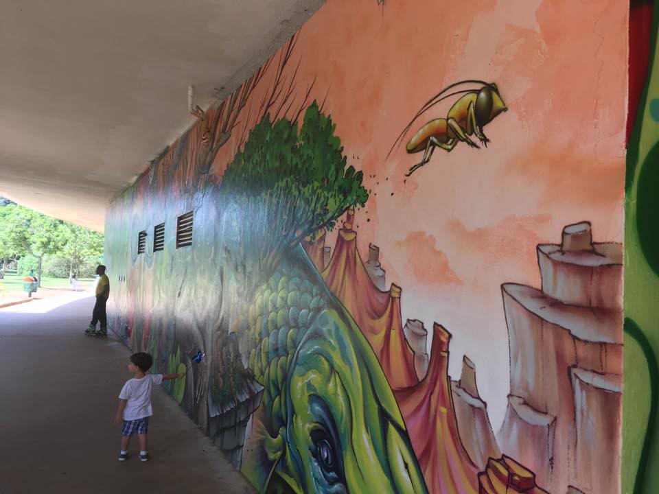 17498629_277781535967735_7144731509122505552_n