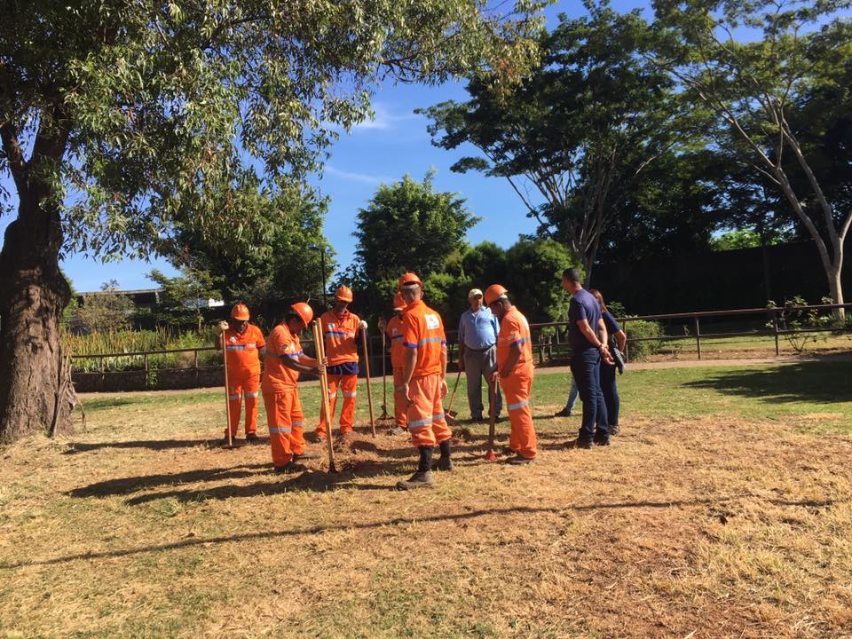 20108223_689046031283580_5560187441393167595_n