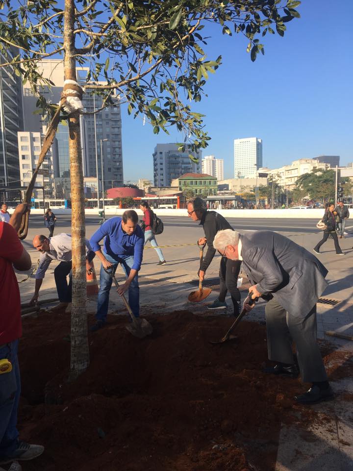 20294191_327182247694330_6630301920696730849_n