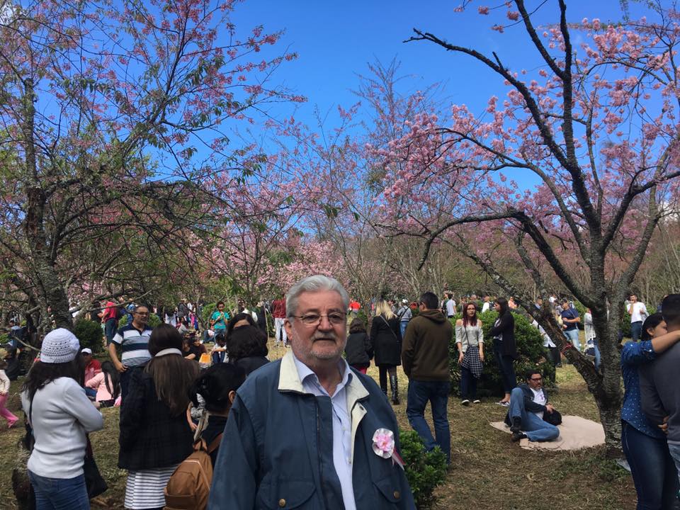 20620932_1487548911310719_6999692230622202398_n