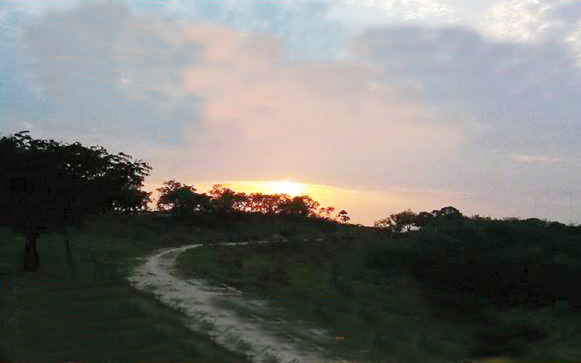 10565174_334963903343258_9097134642839537977_n