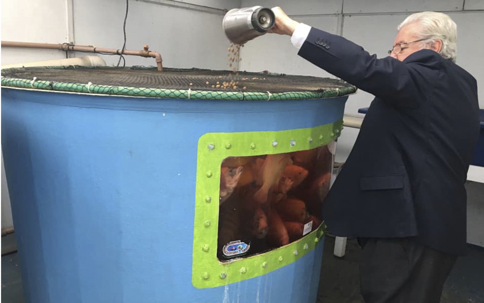 Agita Idoso leva centenas de pessoas à Reciclázaro