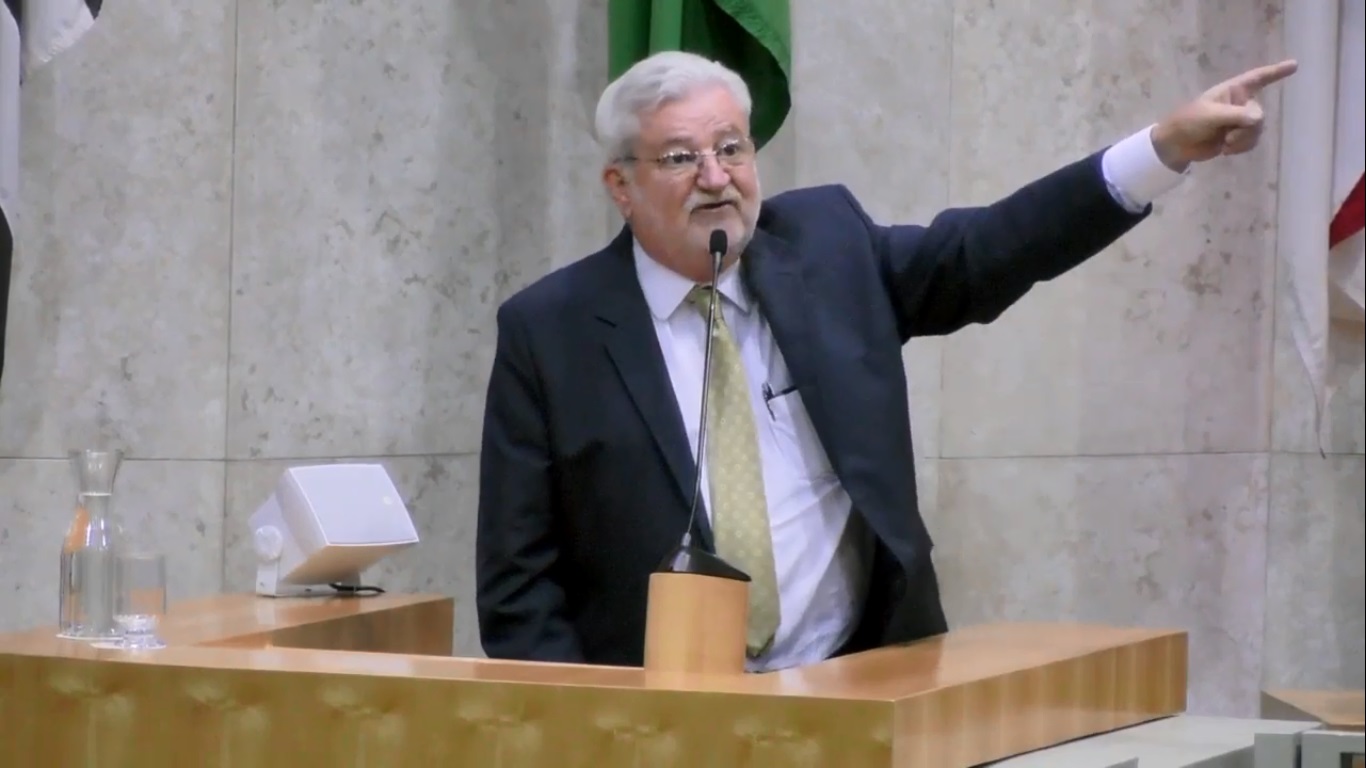 Vereador Natalini discursa sobre podas feitas pela ENEL