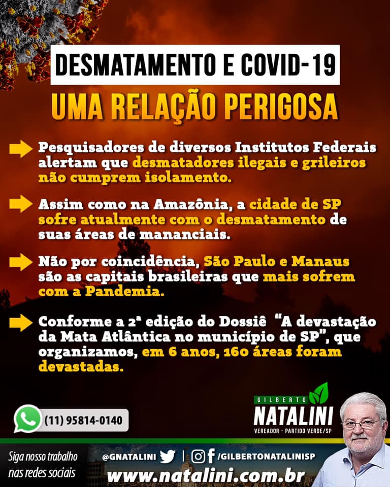 Banner: O Desmatamento e o #covid19